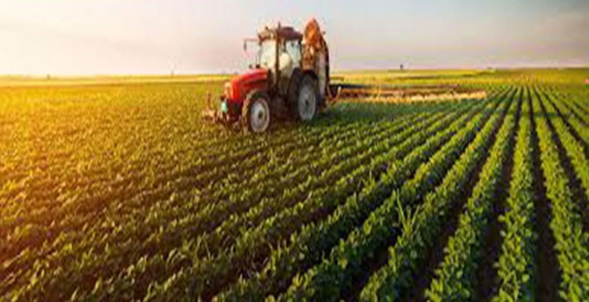 Agriculture